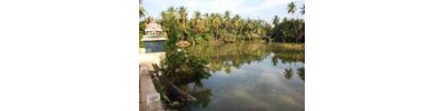 மானந்தகுடி